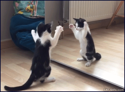 f820efffbb3e8f670e23ec7238703ffe.gif