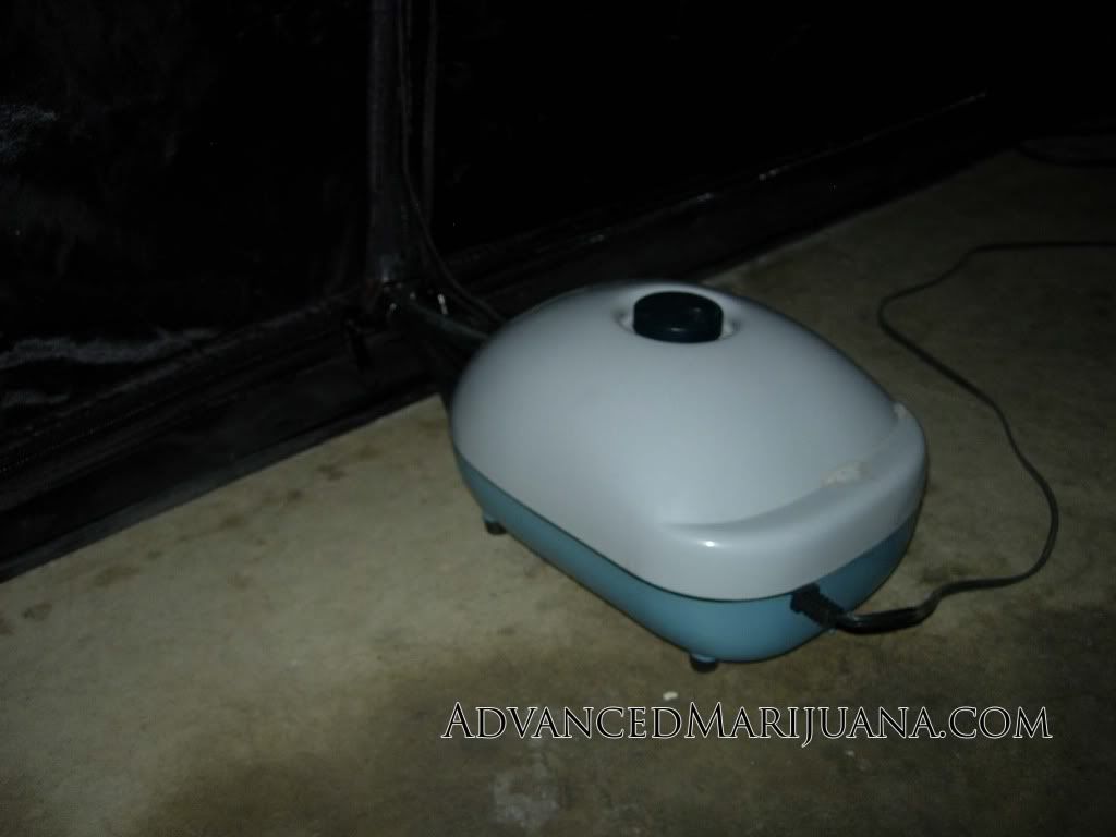 DSCN3820.jpg