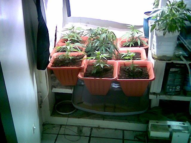 Image0002-1.jpg