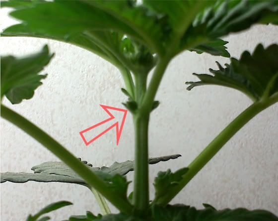 20111208071441.jpg