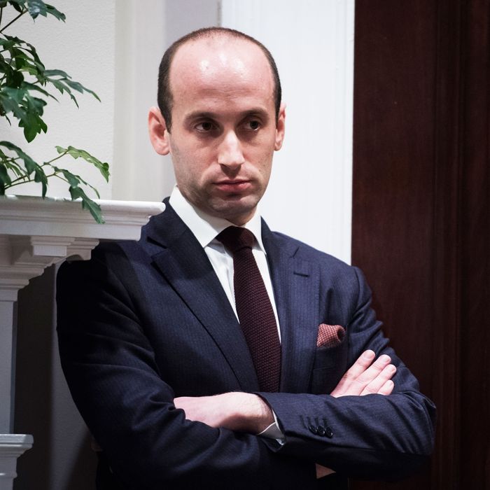 13-stephen-miller.w700.h700.jpg
