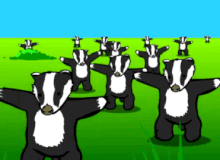 220px-Badgers_Badgers.gif