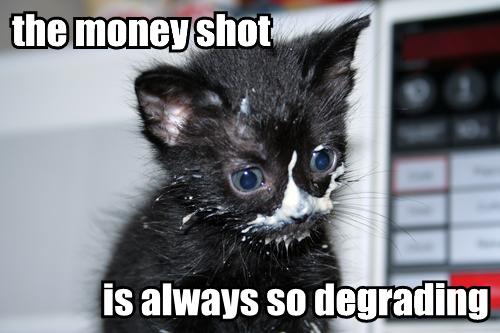 money_shot_kitten.jpg