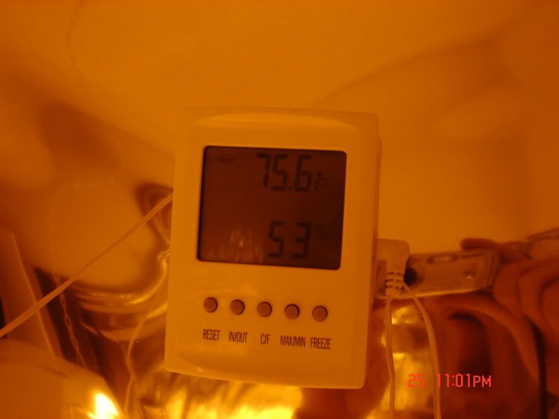 Picture008-1.jpg