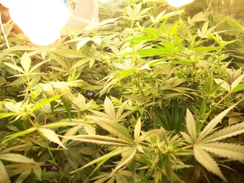 5-6-11014.jpg
