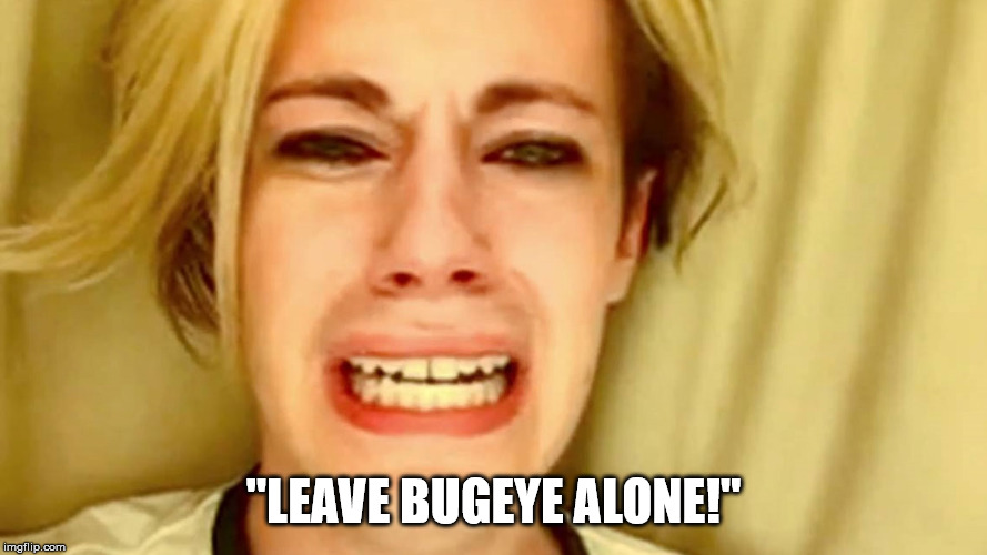 3bg8xe.jpg