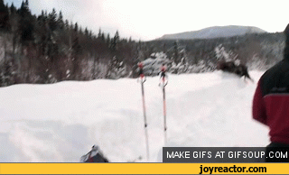 gif-snow-elk-662485.gif