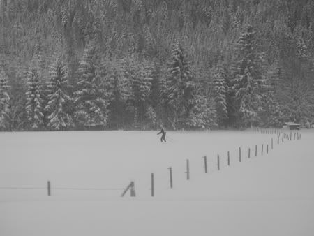 GermanyWinter03.jpg