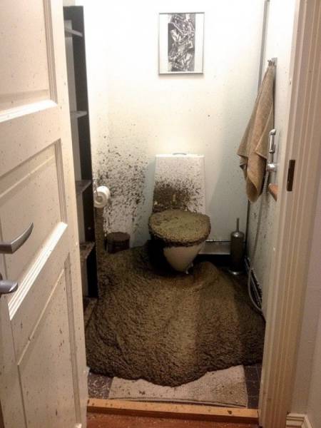 acid_picdump_88.jpg