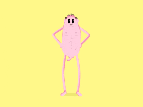 giphy.gif