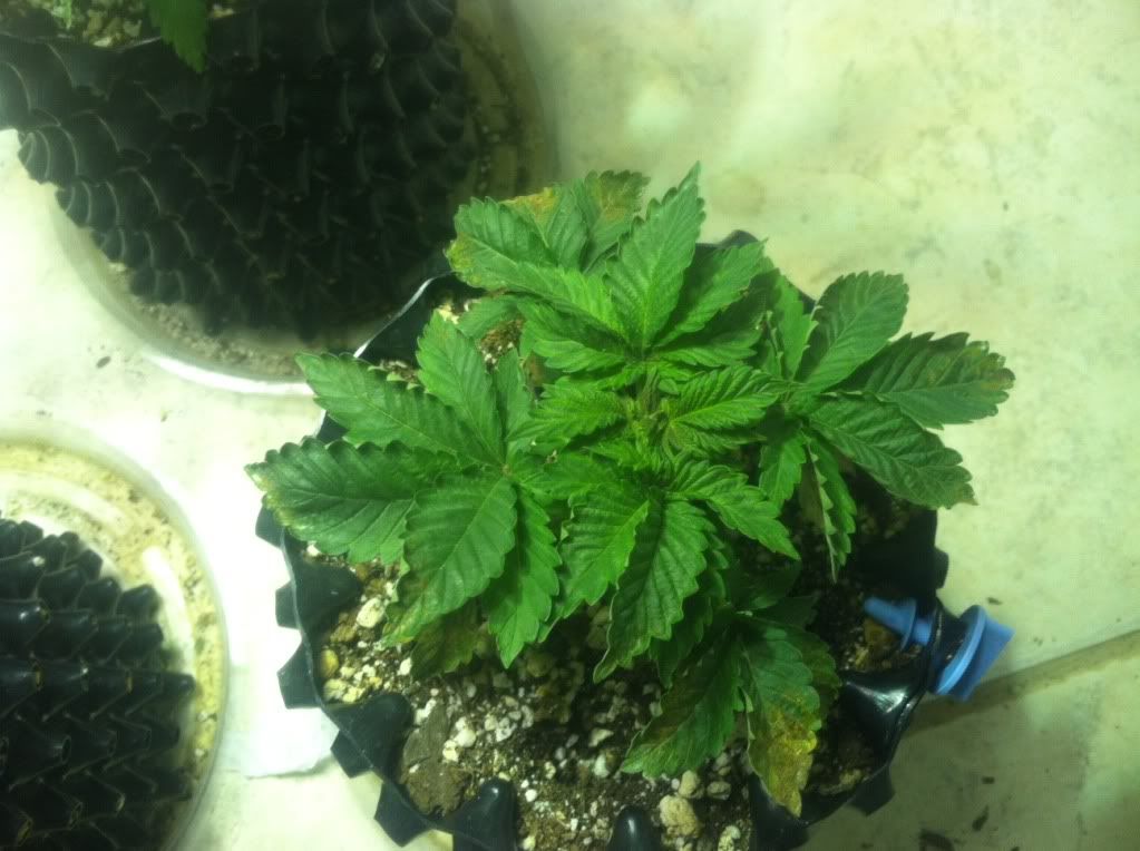 photo-5.jpg