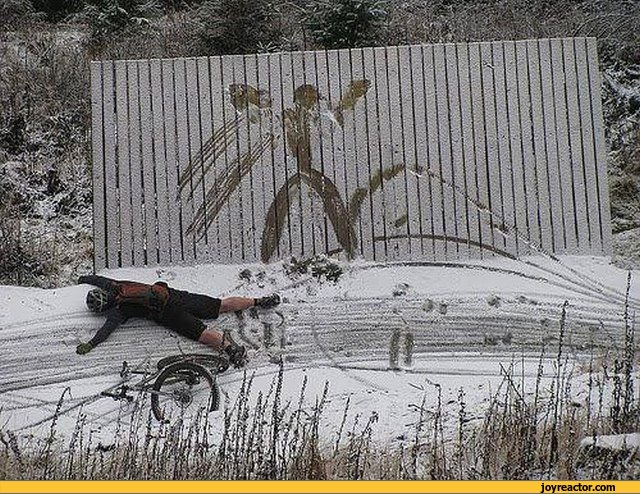 fail-bicycle-790653.jpeg