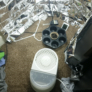 L0mRCew.gif