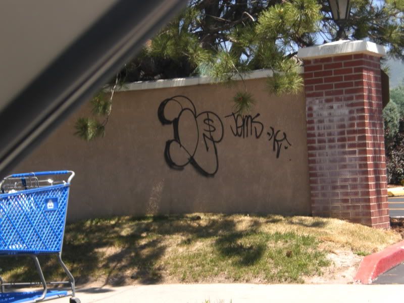CIMG0576.jpg
