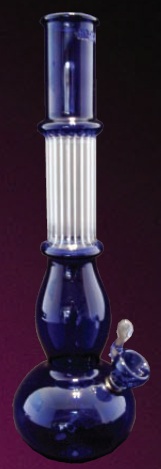 PF-NSG-3.jpg