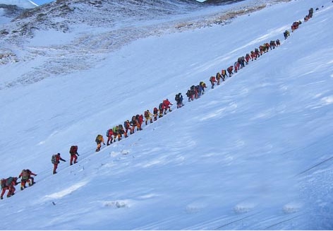 Conga-Line-2012-1.jpeg