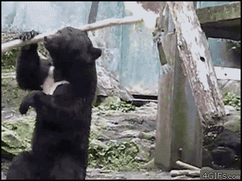 sR08B2.gif