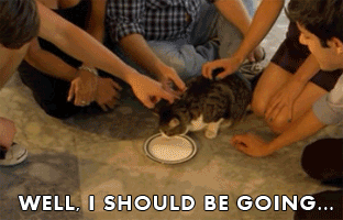 tumblr_mmdzadfZH91s4n0nko1_400.gif