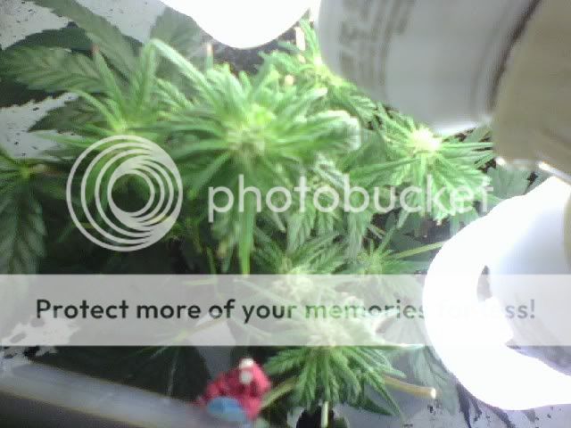 0805081057a.jpg