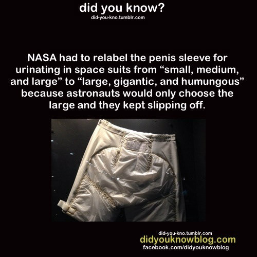 diapernasa.jpg
