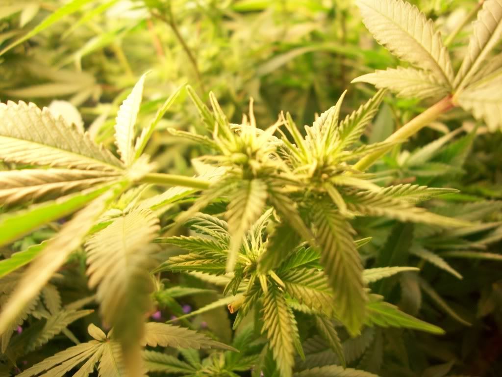 5-6-11006.jpg