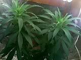 01-26-08_0946.jpg