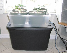 mini-ef37-reduced.jpg