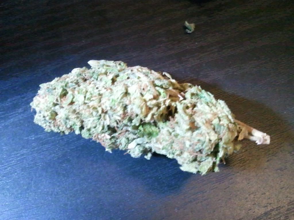 2011-02-21182837.jpg