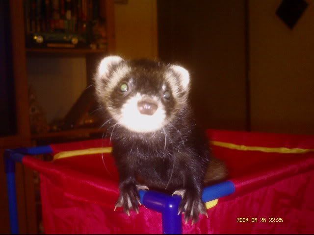 PICT0009-1.jpg