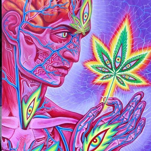 100cb7ab51af2f018b43888facc94827_zps97e0cbd1.jpg