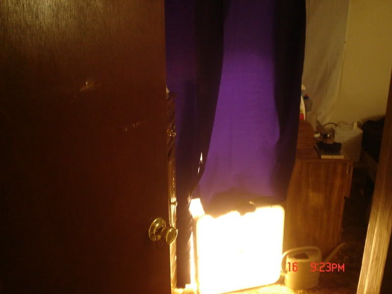 Picture037.jpg