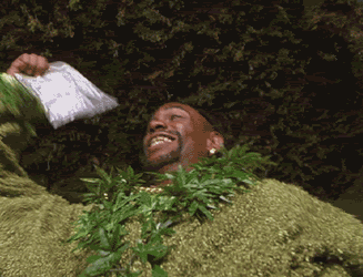 SirSmokesALot.gif