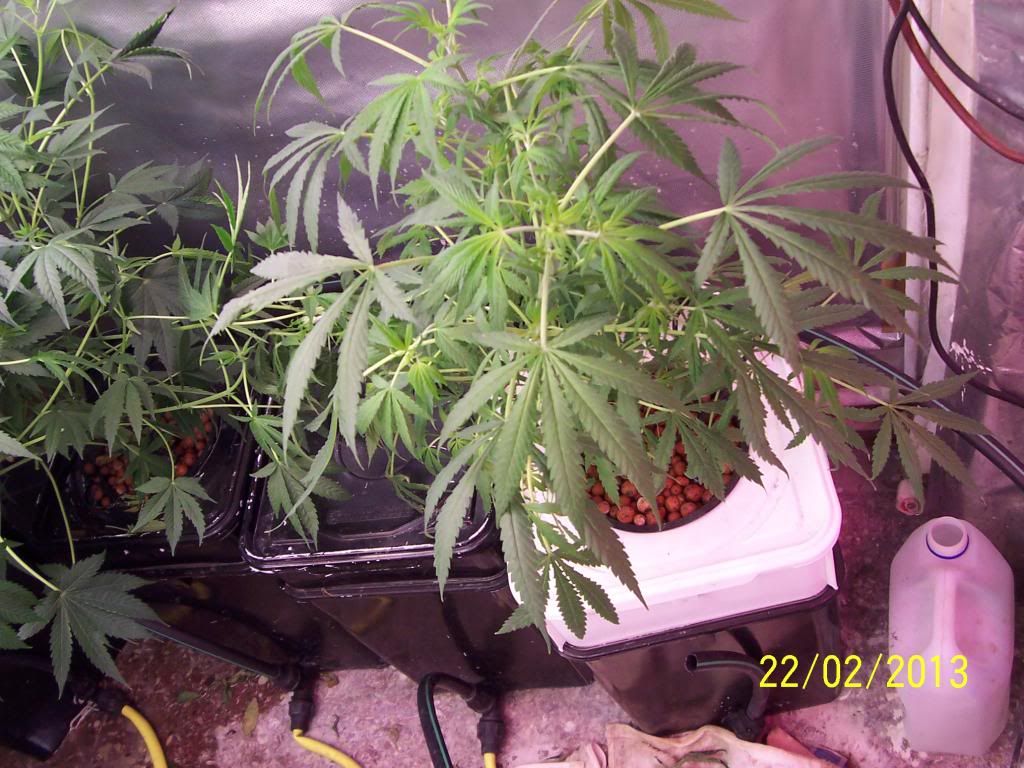 100_3412_zpse57d3343.jpg