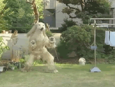 m5m3WOb4D8CoE.gif
