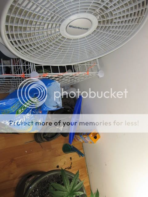 Picture092.jpg