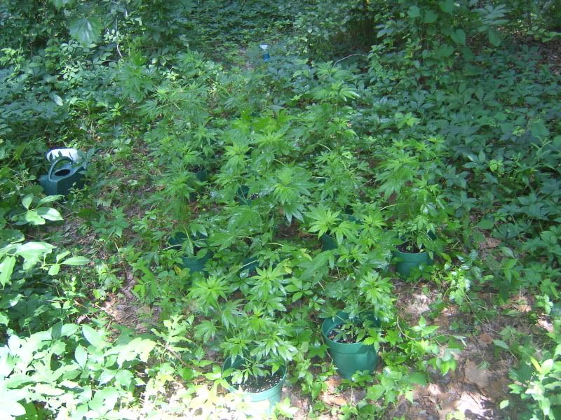 DCAM0065.jpg