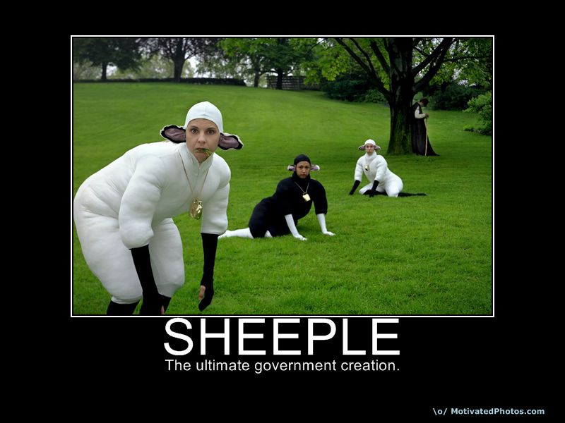 sheeple.jpg