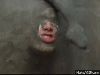 WLyMpL.gif
