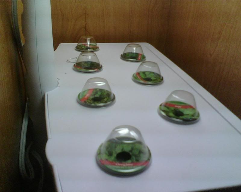 IMG00013.jpg