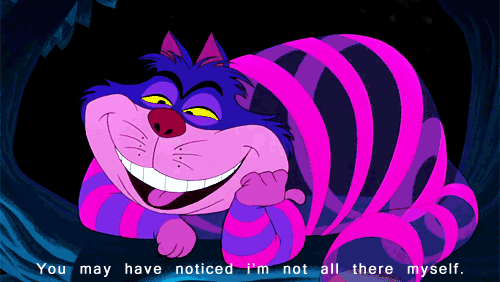 tumblr_ncxcyxlf9n1rd4558o1_500.gif