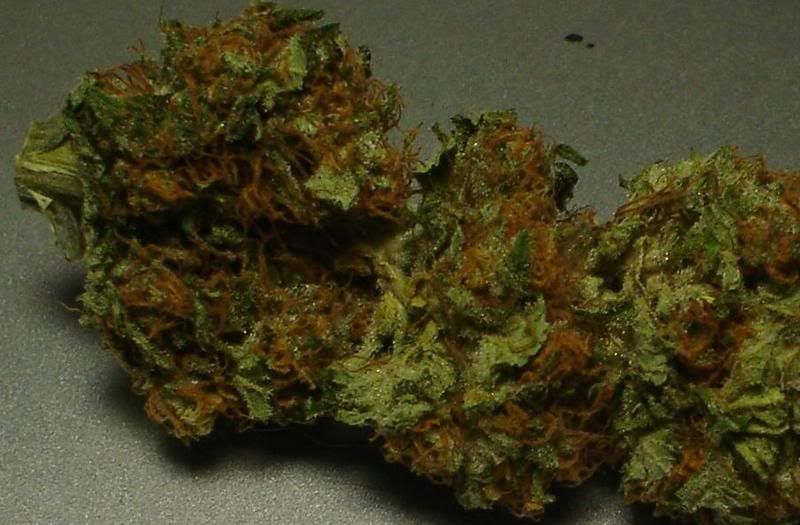 SNOWCAP1111111.jpg