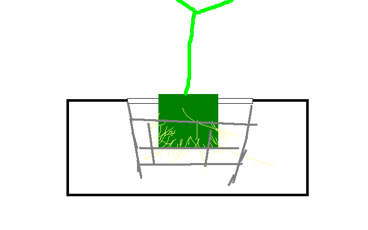 pSf5g.gif