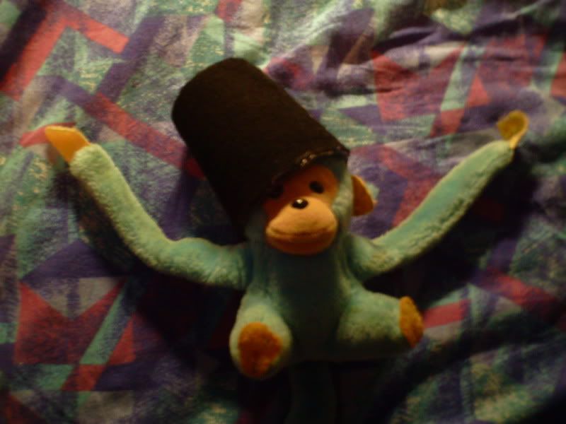 DSC02137.jpg