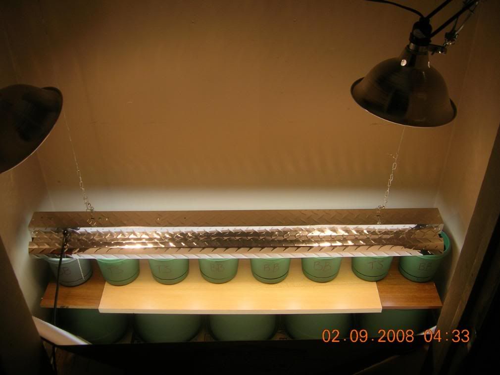 my010.jpg