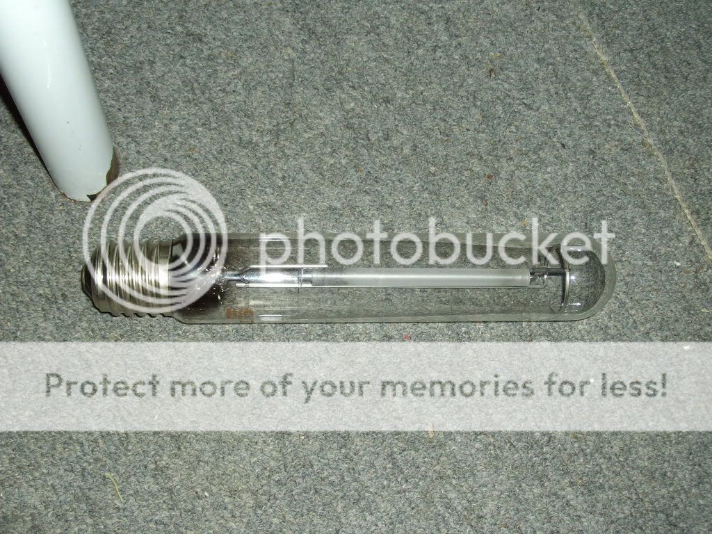 IMGP0879.jpg