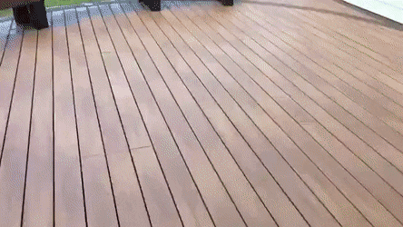 gifs_19.gif