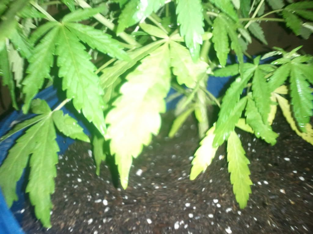 2012-05-21214439.jpg