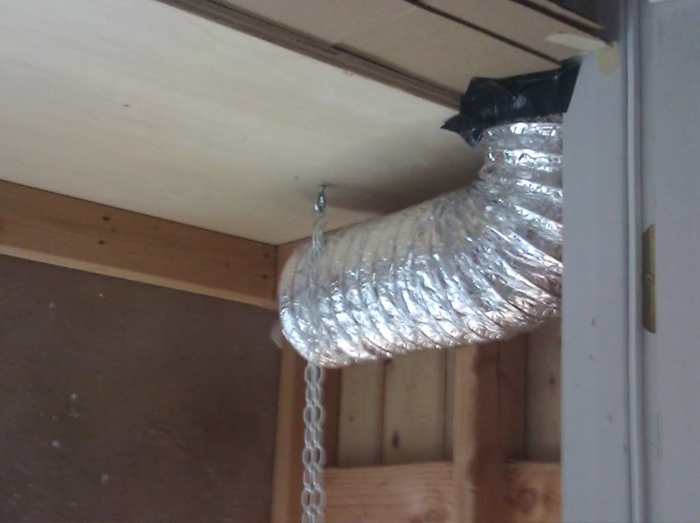 IMG_20110108_125619.jpg