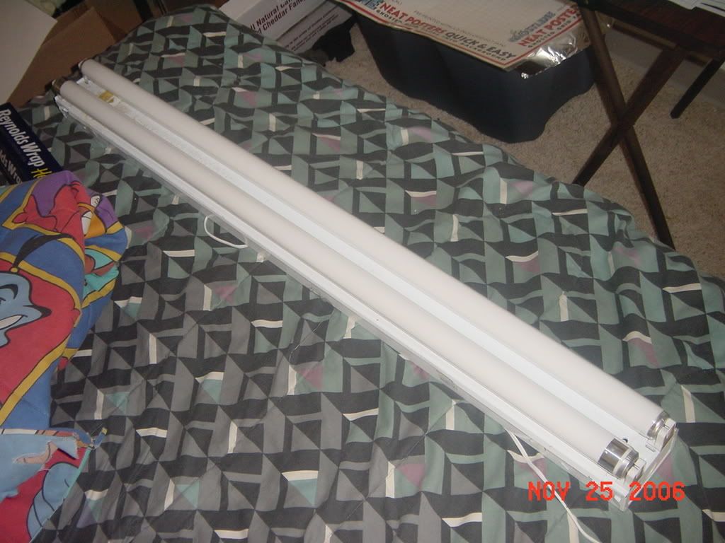 DSC02170.jpg