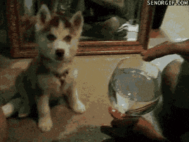 200.gif
